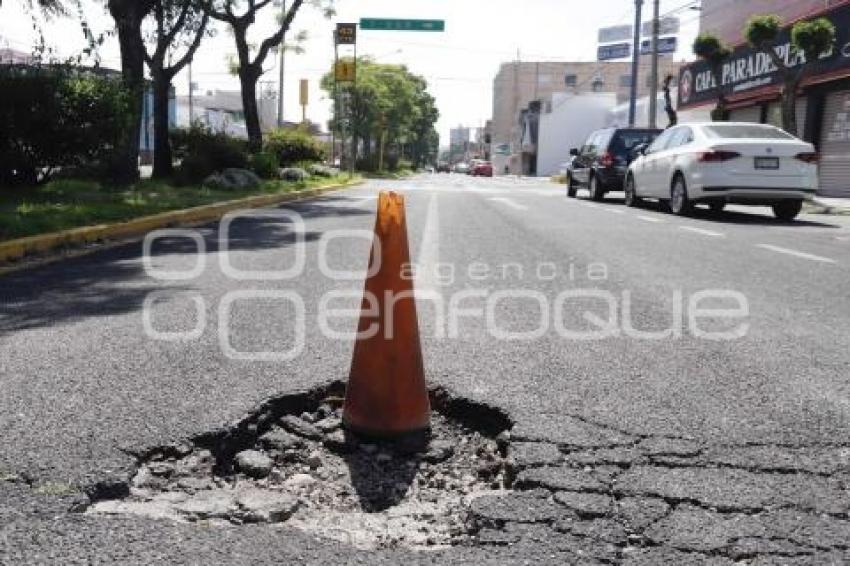 BACHE . 43 PONIENTE