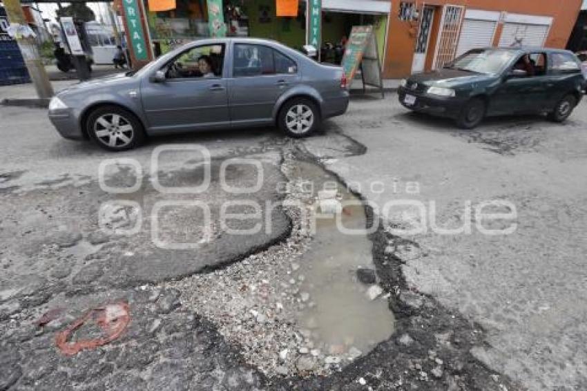 BACHE