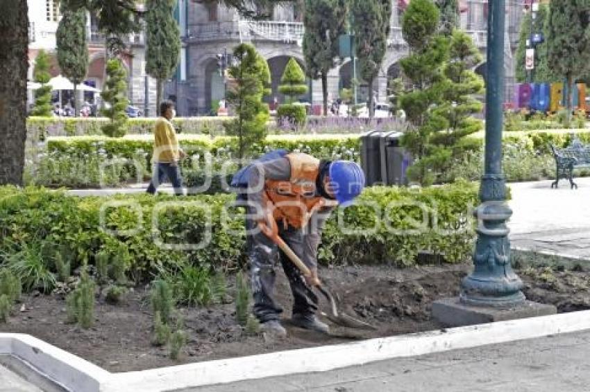 REHABILITACIÓN ZÓCALO