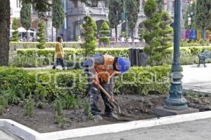 REHABILITACIÓN ZÓCALO