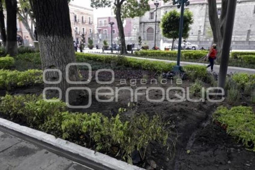 REHABILITACIÓN ZÓCALO