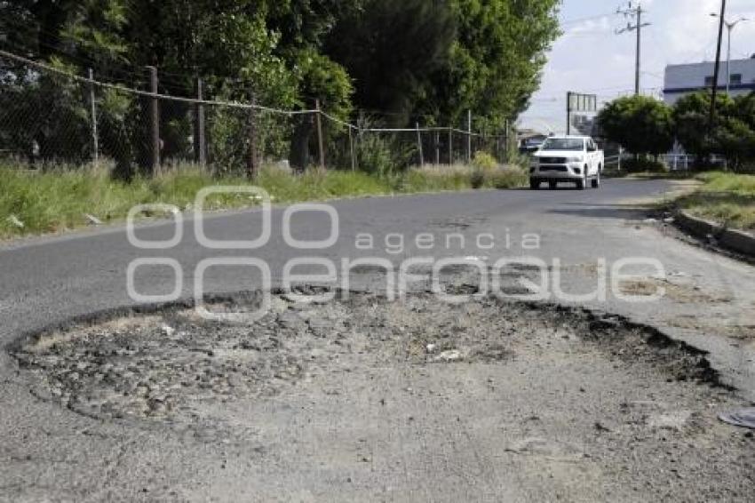 BACHE EN LA CAPU