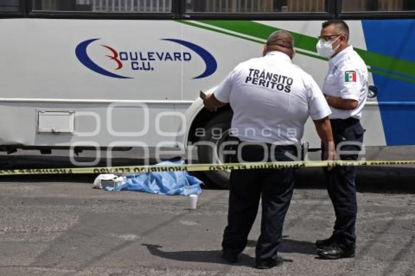 ATROPELLADA POR TRANSPORTE PÚBLICO