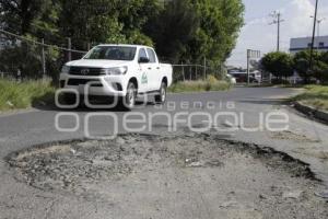 BACHE EN LA CAPU