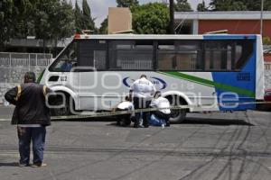 ATROPELLADA POR TRANSPORTE PÚBLICO