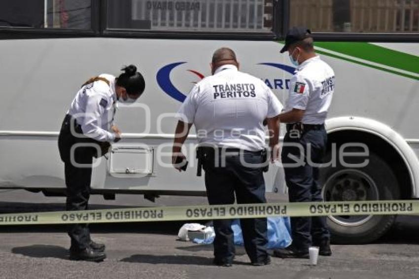 ATROPELLADA POR TRANSPORTE PÚBLICO