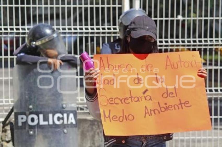 MANIFESTACIÓN . CORRALONES