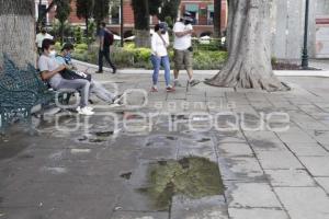 REHABILITACIÓN ZÓCALO