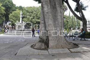 REHABILITACIÓN ZÓCALO