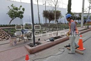 PARQUE . COLONIA MÉXICO 83