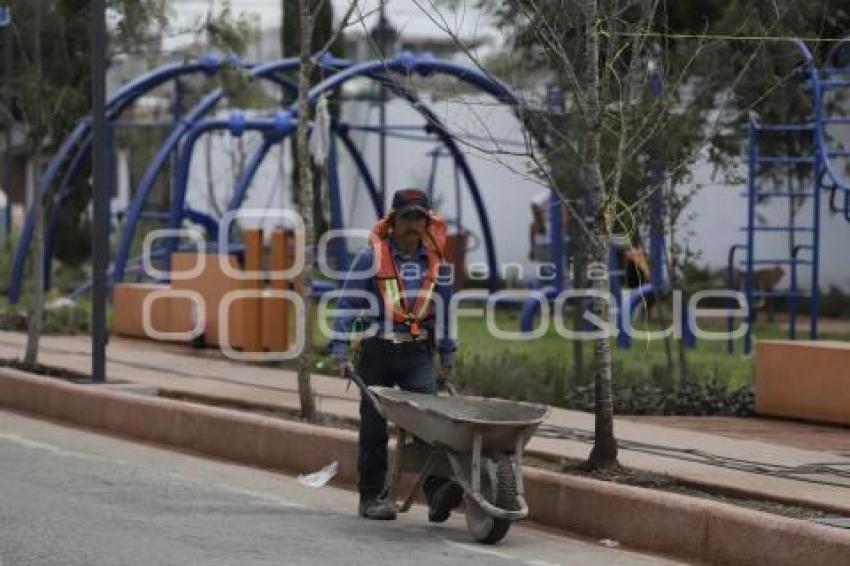 PARQUE . COLONIA MÉXICO 83