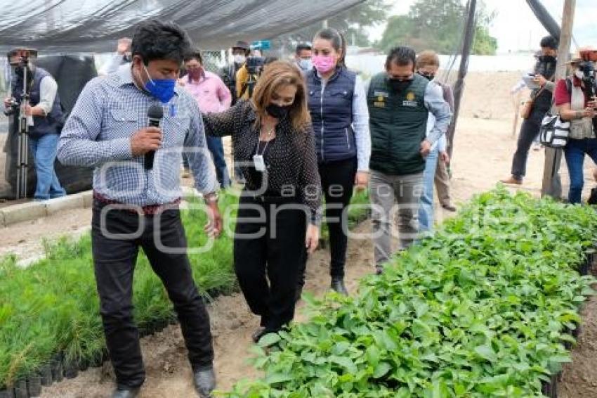 TLAXCALA . JORNADA DE SIEMBRA