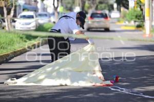 ATROPELLADA POR TRANSPORTE PÚBLICO