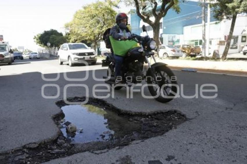 BACHE