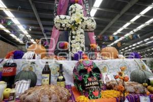 CATRINA MONUMENTAL