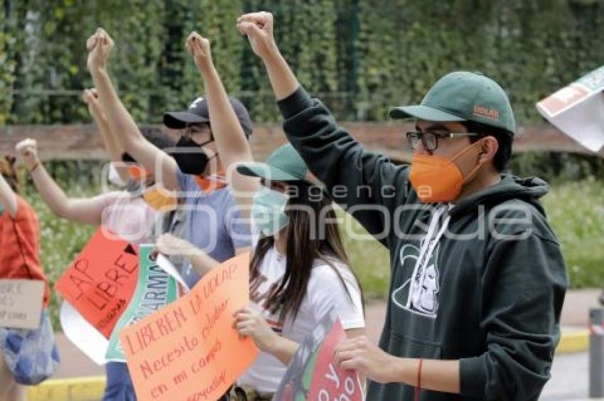 MANIFESTACIÓN . UDLAP