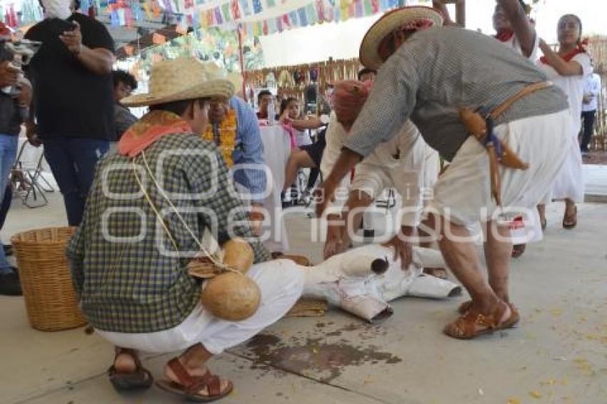 TEHUACÁN . RITUAL MATANZA