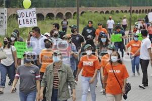 MANIFESTACIÓN . UDLAP