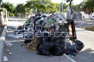 TEHUACÁN . BASURA