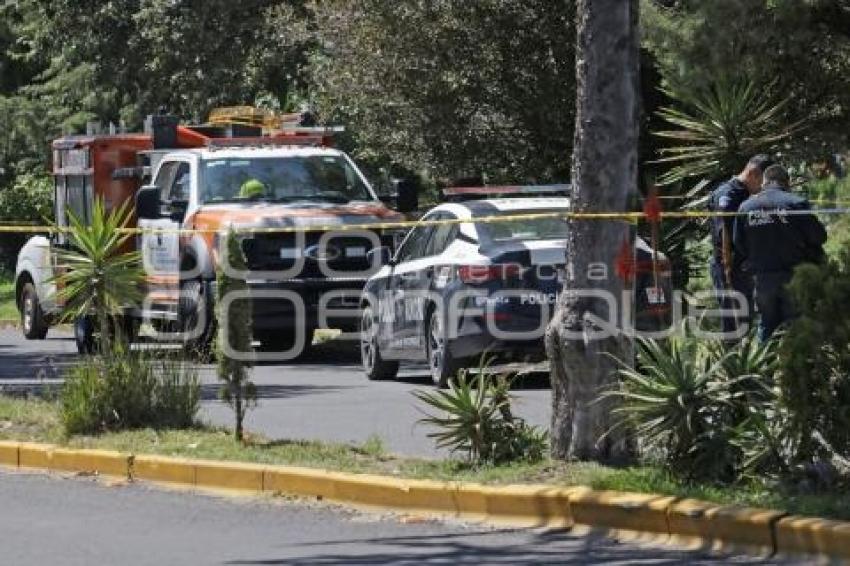 NOTA ROJA . HOMICIDIO