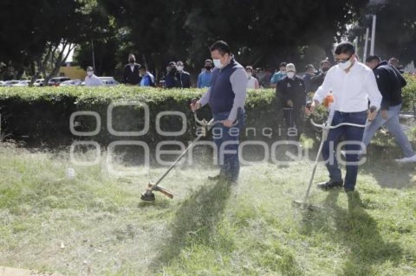 AYUNTAMIENTO . MANTENIMIENTO A CAMELLONES