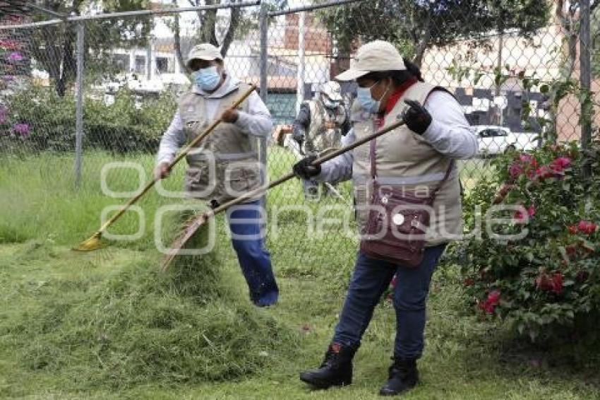 AYUNTAMIENTO . MANTENIMIENTO A CAMELLONES