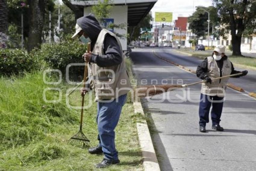 AYUNTAMIENTO . MANTENIMIENTO A CAMELLONES