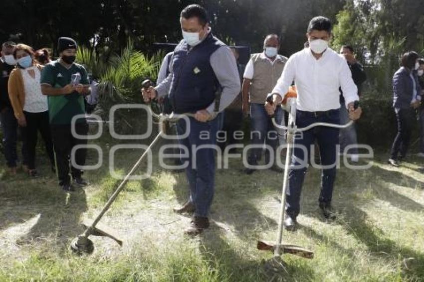 AYUNTAMIENTO . MANTENIMIENTO A CAMELLONES