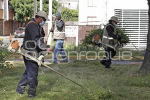 AYUNTAMIENTO . MANTENIMIENTO A CAMELLONES