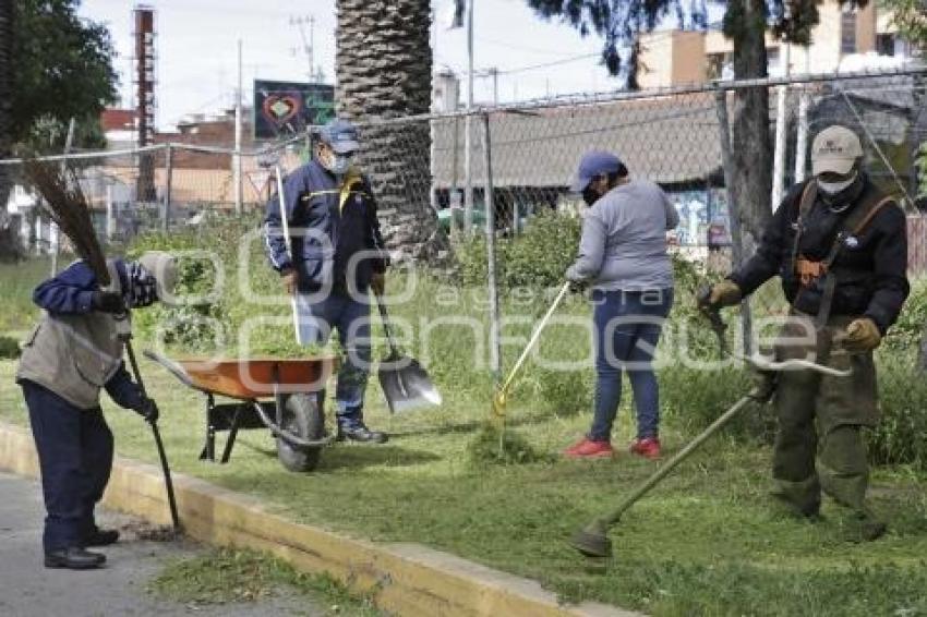 AYUNTAMIENTO . MANTENIMIENTO A CAMELLONES