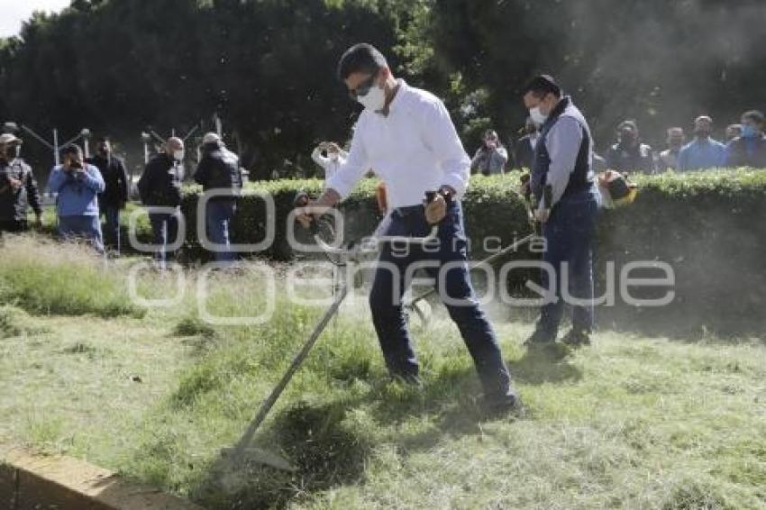 AYUNTAMIENTO . MANTENIMIENTO A CAMELLONES