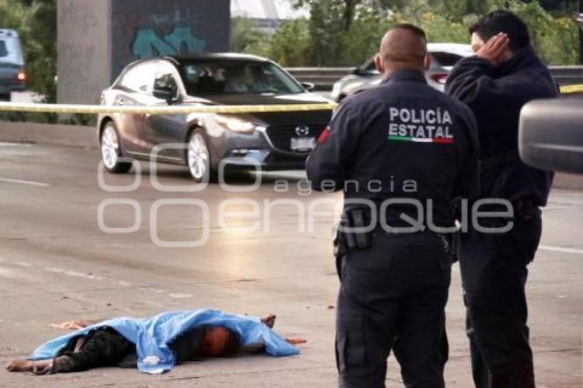NOTA ROJA . ATROPELLADO