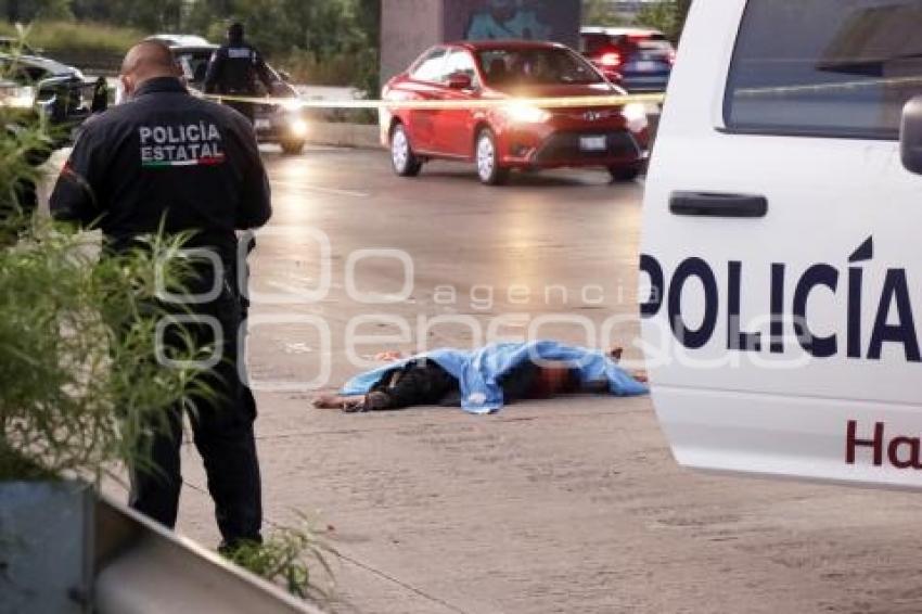NOTA ROJA . ATROPELLADO