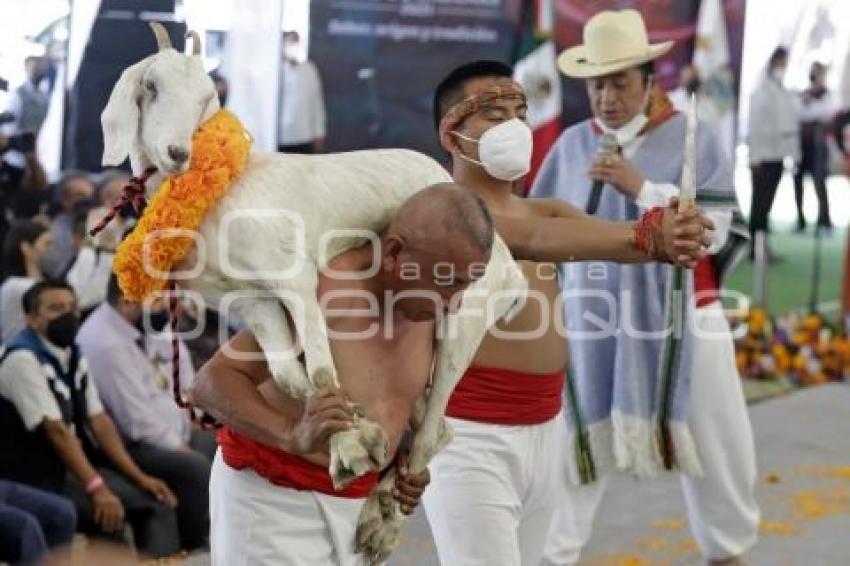 TEHUACÁN . MOLE DE CADERAS