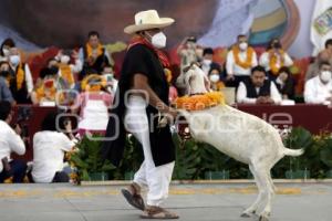 TEHUACÁN . MOLE DE CADERAS