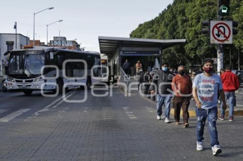 RUTA . MANIFESTACIÓN