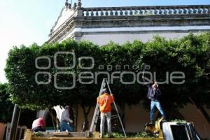 TLAXCALA . PODA DE ÁRBOLES