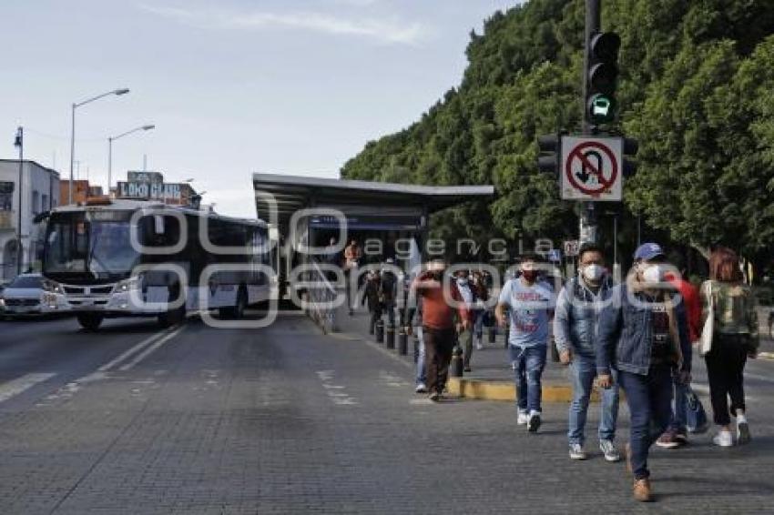 RUTA . MANIFESTACIÓN