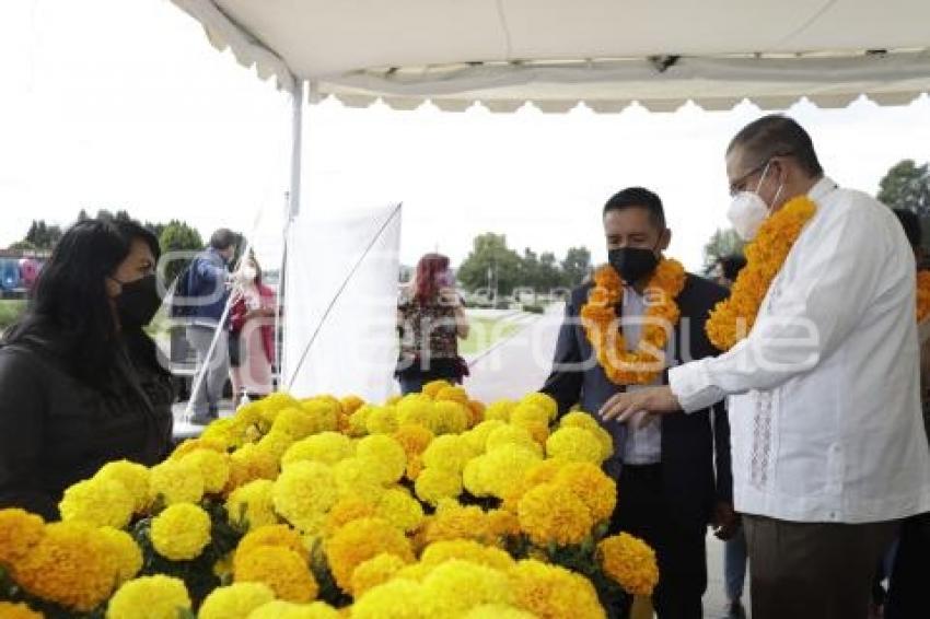 EXPO DÍA DE MUERTOS