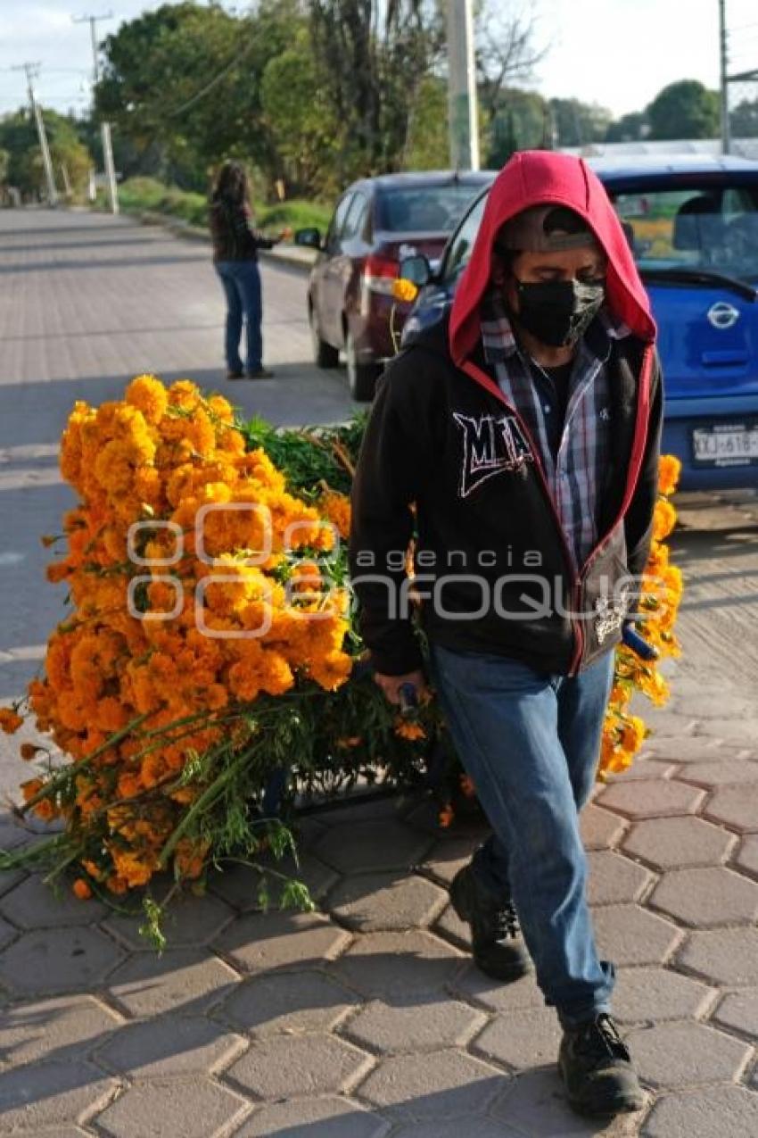 TLAXCALA . FLOR DE CEMPASÚCHIL