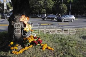 DÍA DE MUERTOS . ACCIDENTADOS