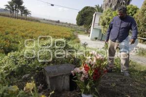 DÍA DE MUERTOS . ACCIDENTADOS