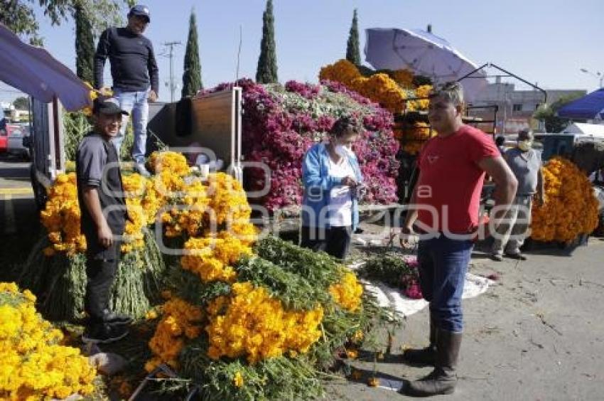 VENTA DE CEMPASÚCHIL