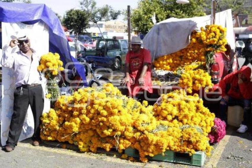 VENTA DE CEMPASÚCHIL