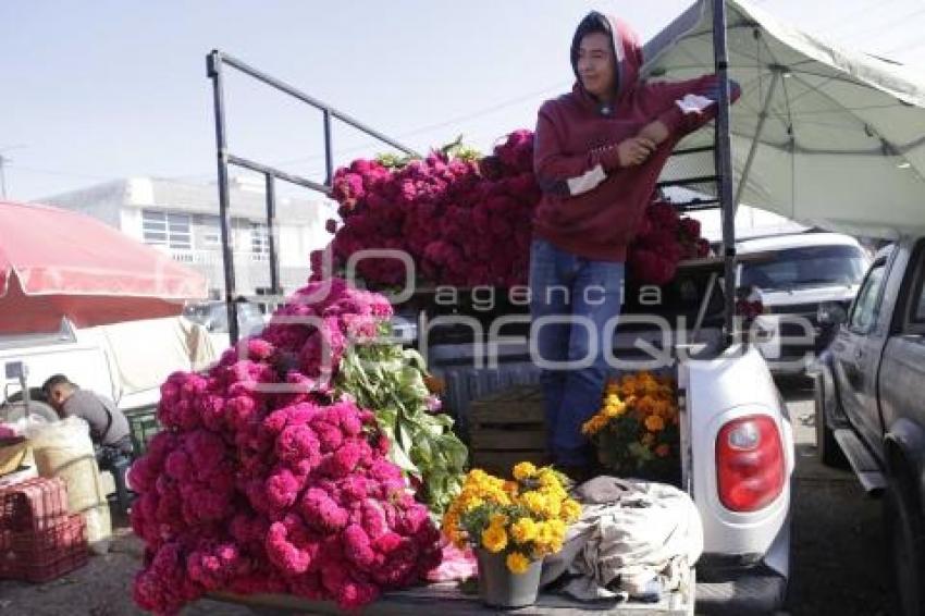 VENTA DE CEMPASÚCHIL