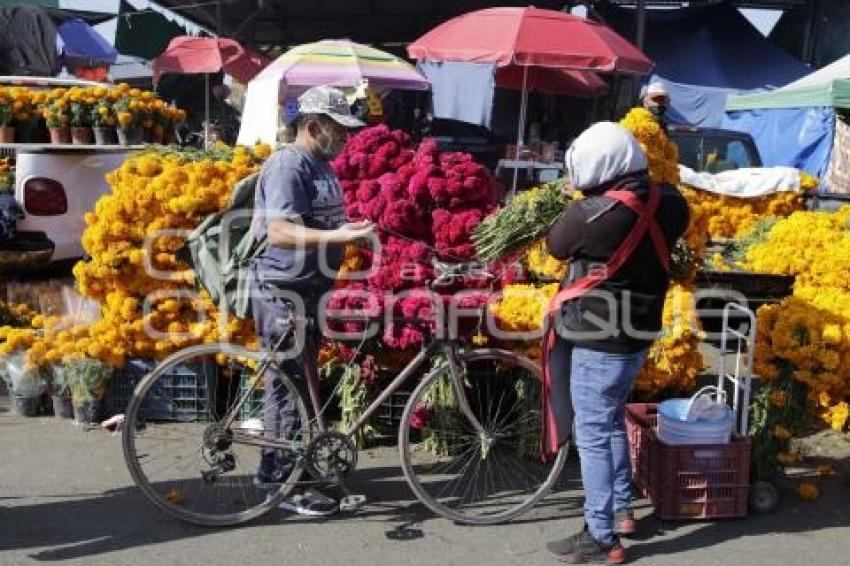 VENTA DE CEMPASÚCHIL