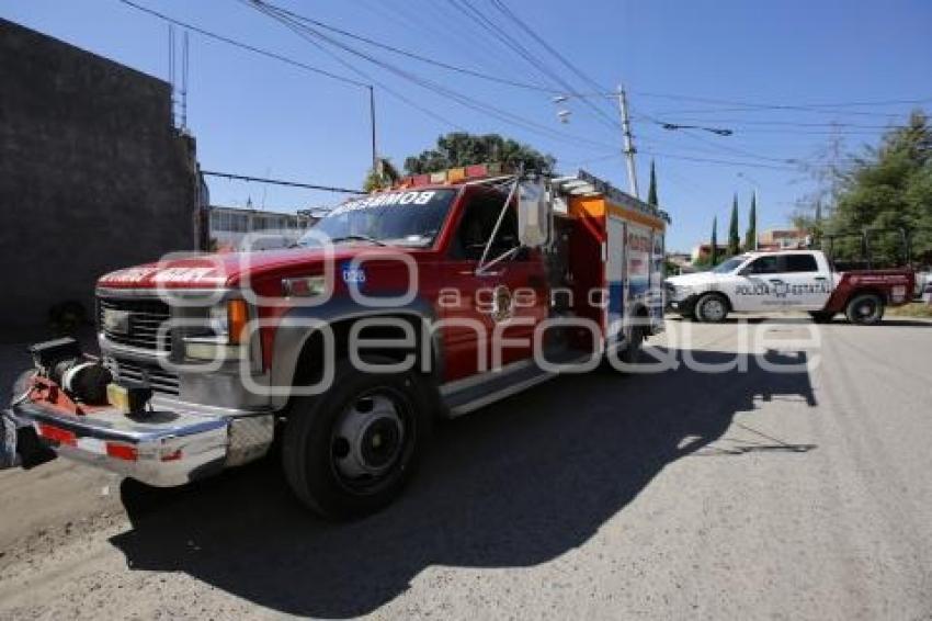 ESCUELA PRIMARIA . BOMBEROS