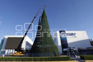 BUAP . ÁRBOL NAVIDEÑO