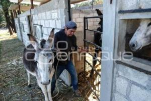 TLAXCALA . SANTUARIO BURROS