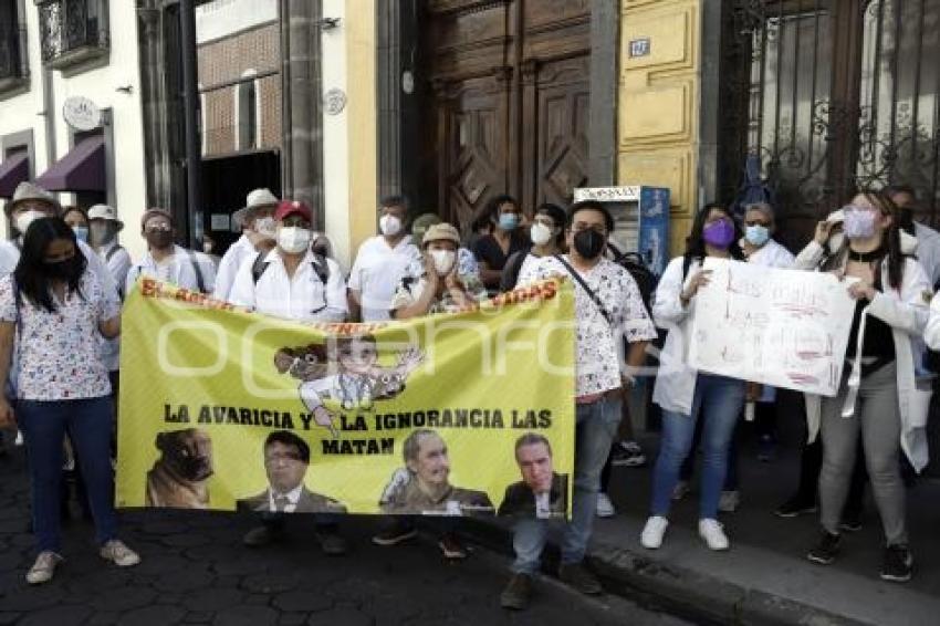 MANIFESTACIÓN MÉDICOS VETERINARIOS